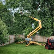 Artificial Turf Installation in Bradford, OH